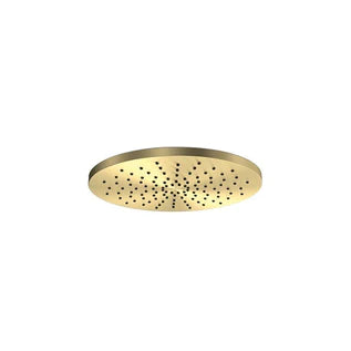 Parisi Envy II Round Shower Head - Brushed Brass