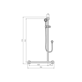 Parisi Envy Sliding Grab Rail Right Hand with Hand Shower